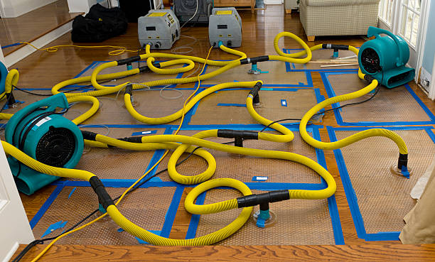 Professional Basement Flood Cleanup technician working in Harwick, PA
